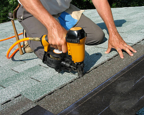Best Roof Gutter Cleaning  in Worthington, KY