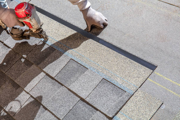 Best Metal Roofing Contractor  in Worthington, KY